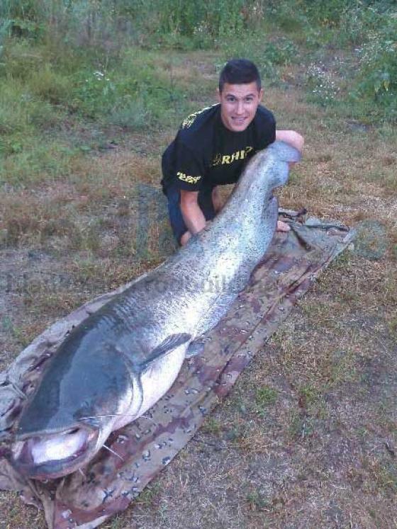 Blank RCLB 70 L 7' (2.13m), 100-200g15/30lb