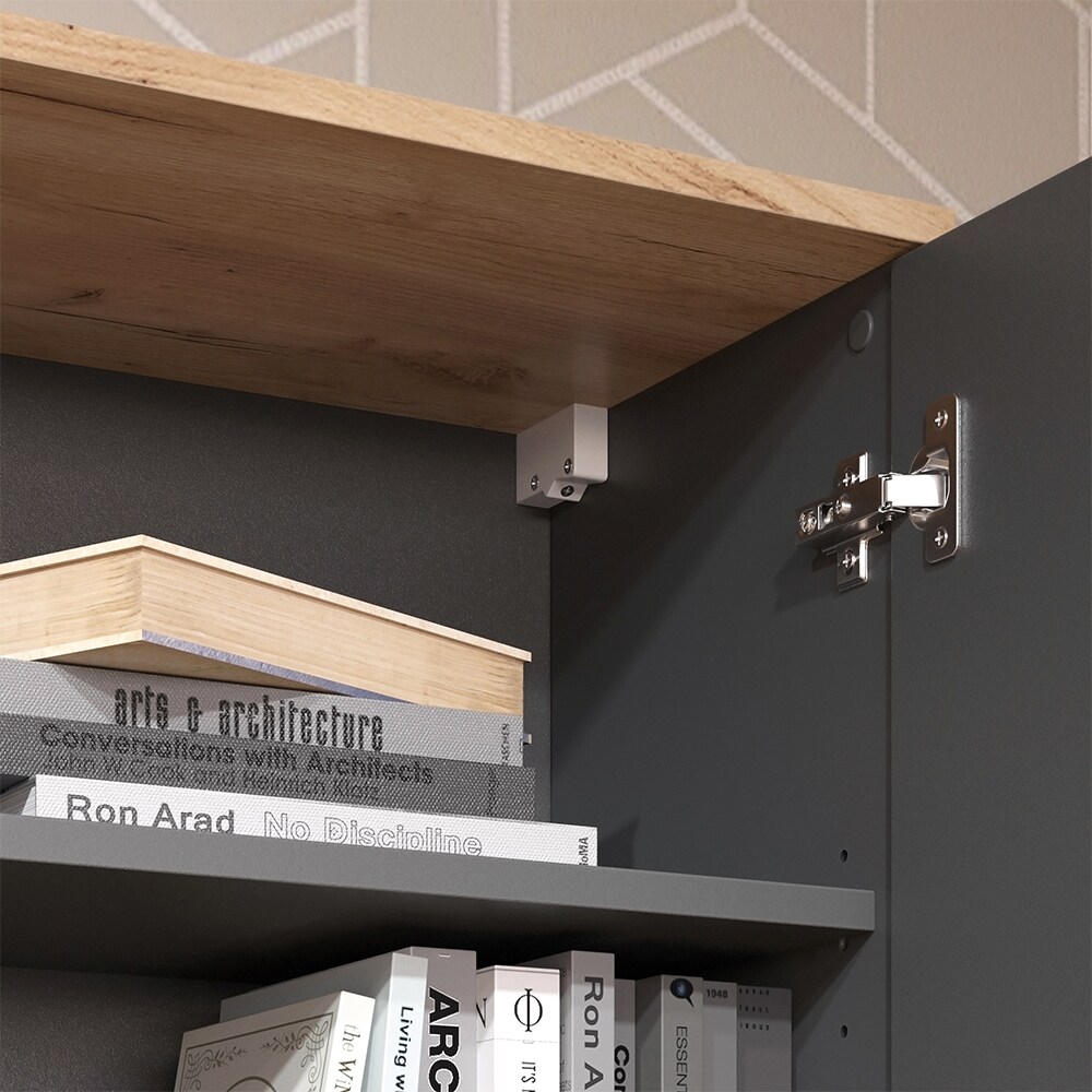 Vicco Hängeschrank Wido Anthrazit Eiche 60 x 100 cm mit Tür