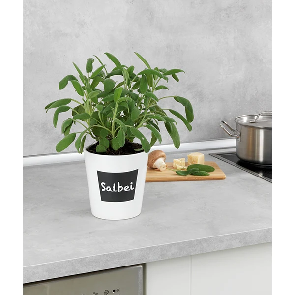 Pot à herbes en céramique Waia Wenko by Maximex