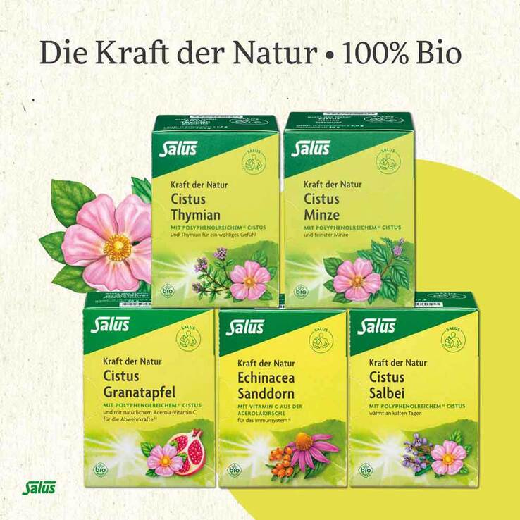 Cistus Spitzwegerich Tee Bio Filterbeutel, 15 St