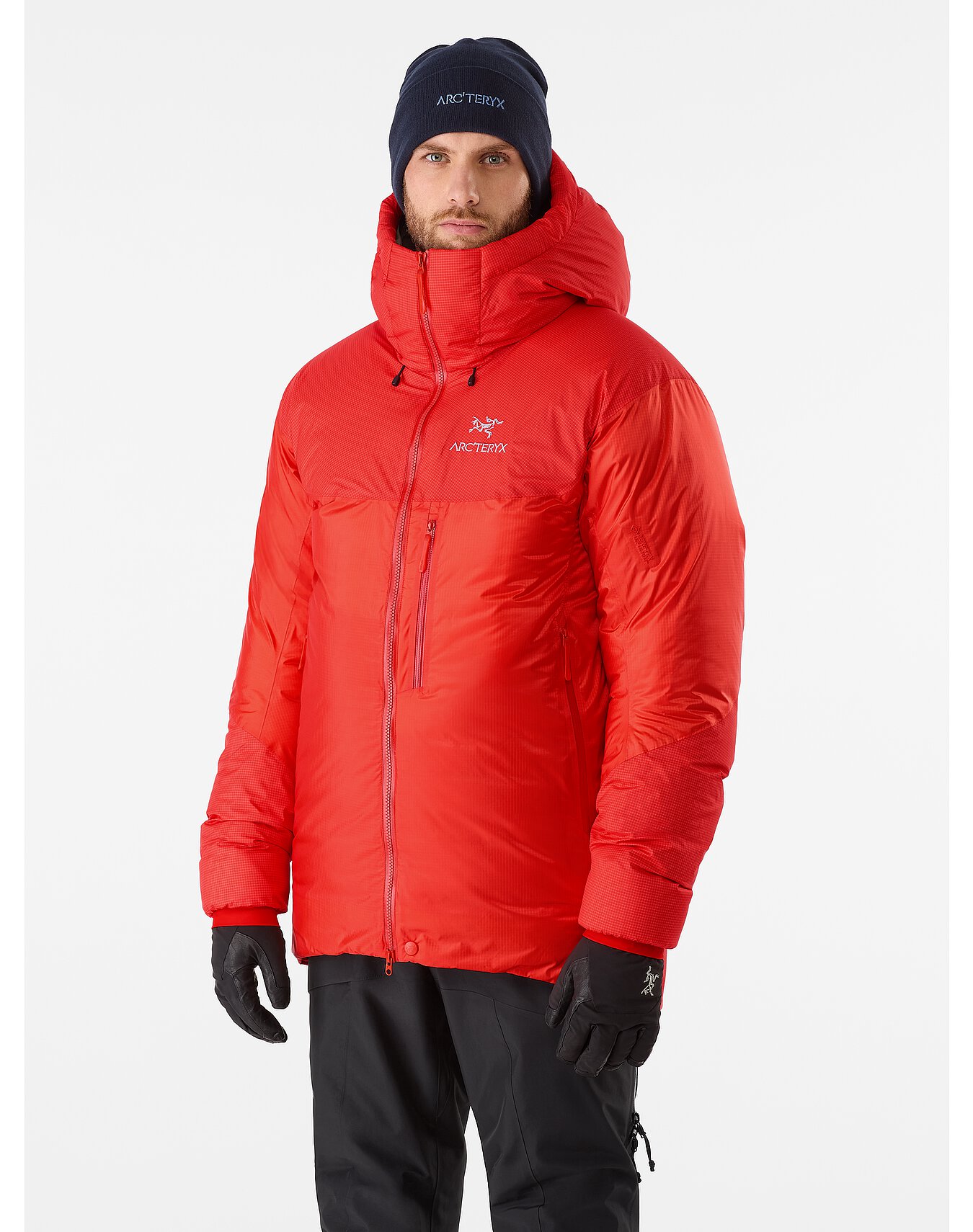Arcteryx Alpha Parka Dynasty