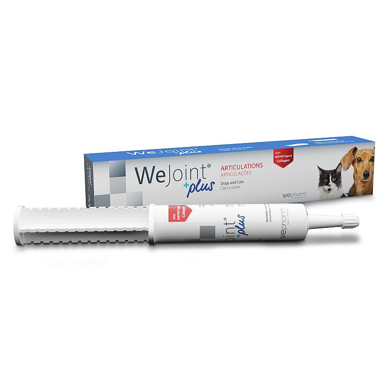 Wepharm WeJoint Plus Pasta 30 ml | 15869