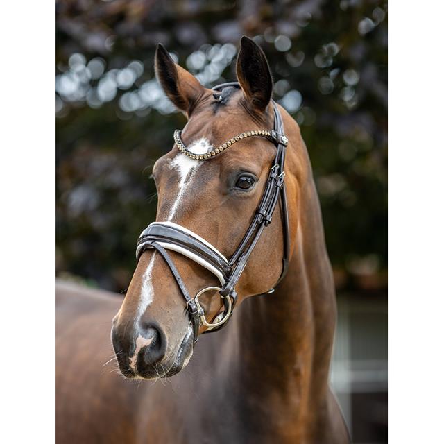 Hoofdstel LeMieux Kudos Dressage Lak Bruin-wit