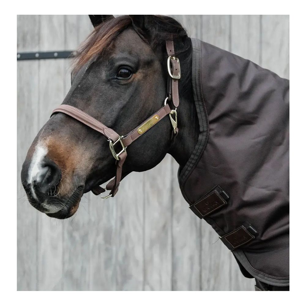 Kentucky ALL WEATHER WATERPROOF PRO 150G - Couvre-cou brown