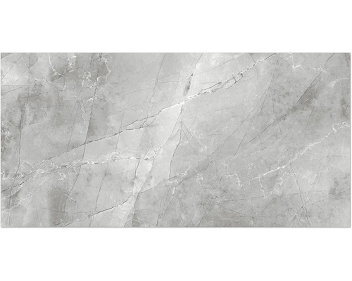 Porseleinen steengoed wand- en vloertegel Centura grigio 60 x 120 x 0,9 cm glanzend gerectificeerd