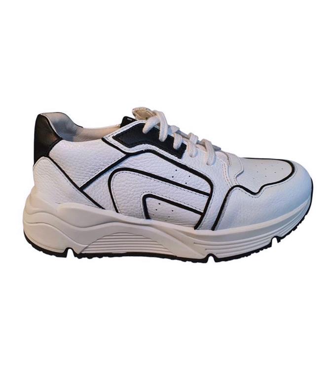 LEF LF20250170 wit