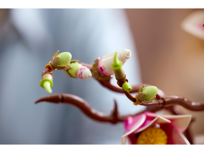 LEGO Magnoliatakken (11510)