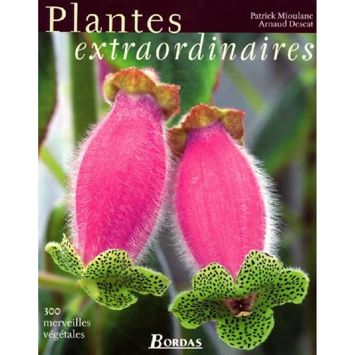 Plantes extraordinaires : 250 végétaux insolites du monde entier · Occasion