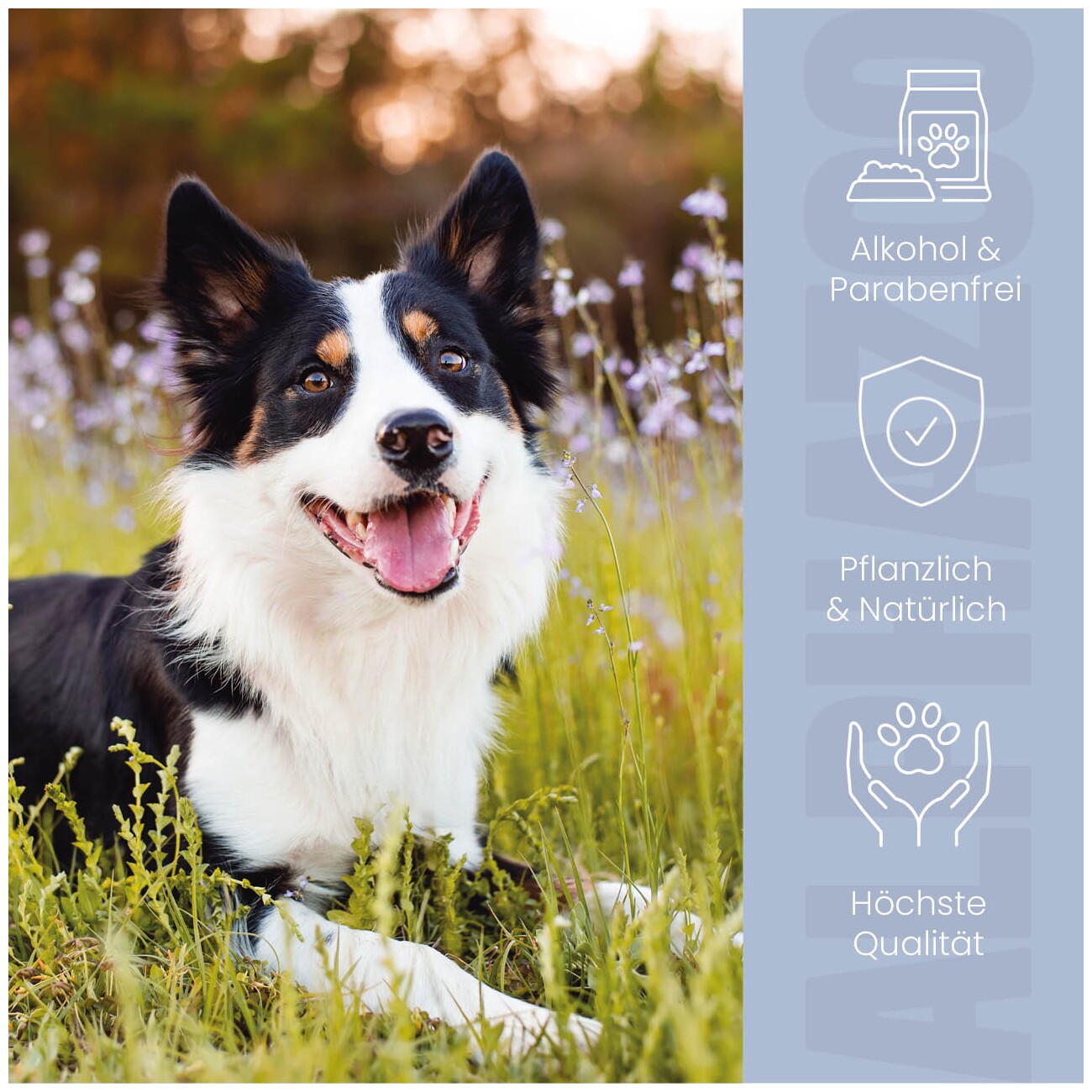 ALPHAZOO Brandlöscher Anti Juckreiz Spray für Hunde I Sanfte Beruhigung