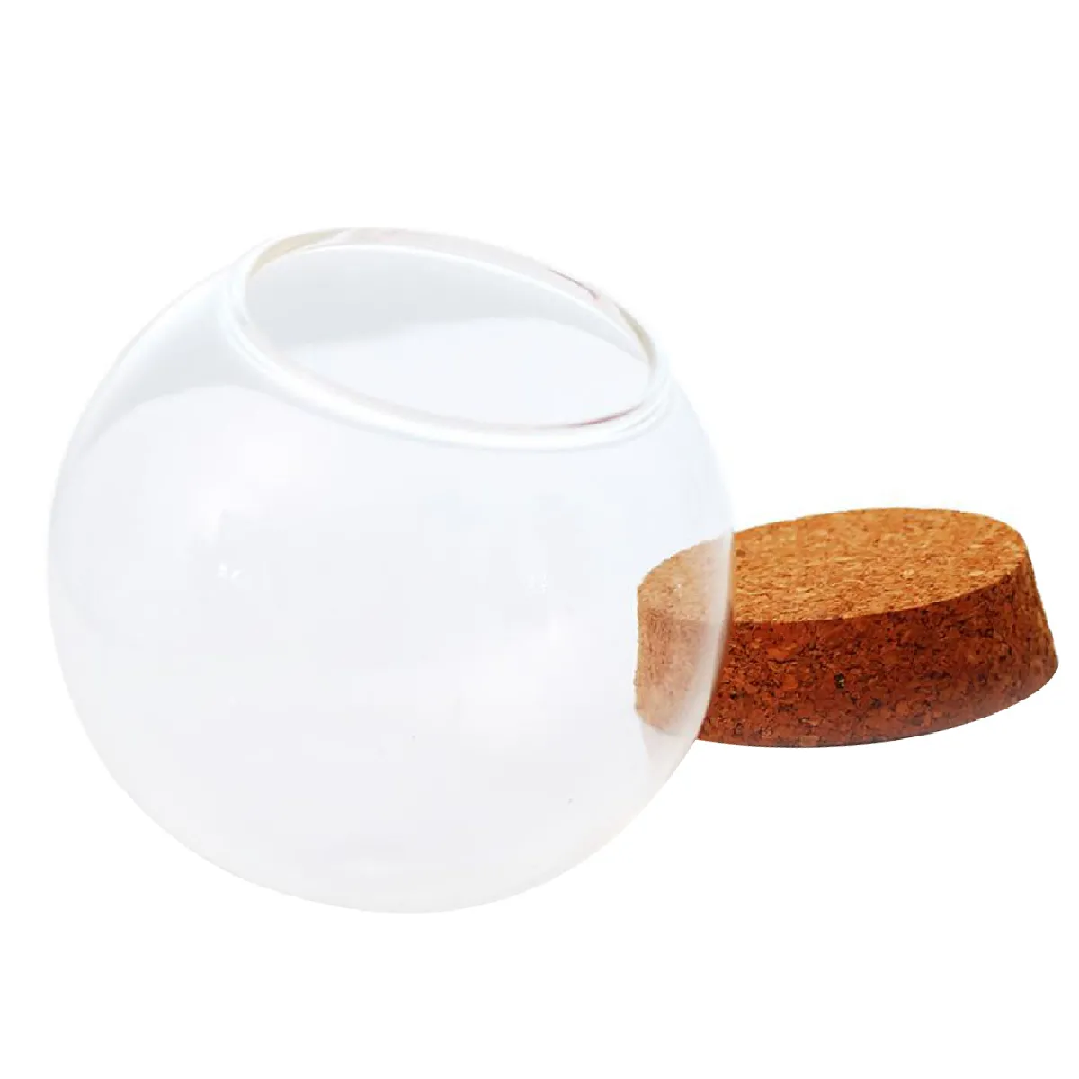 Boule de Verre Terrarium