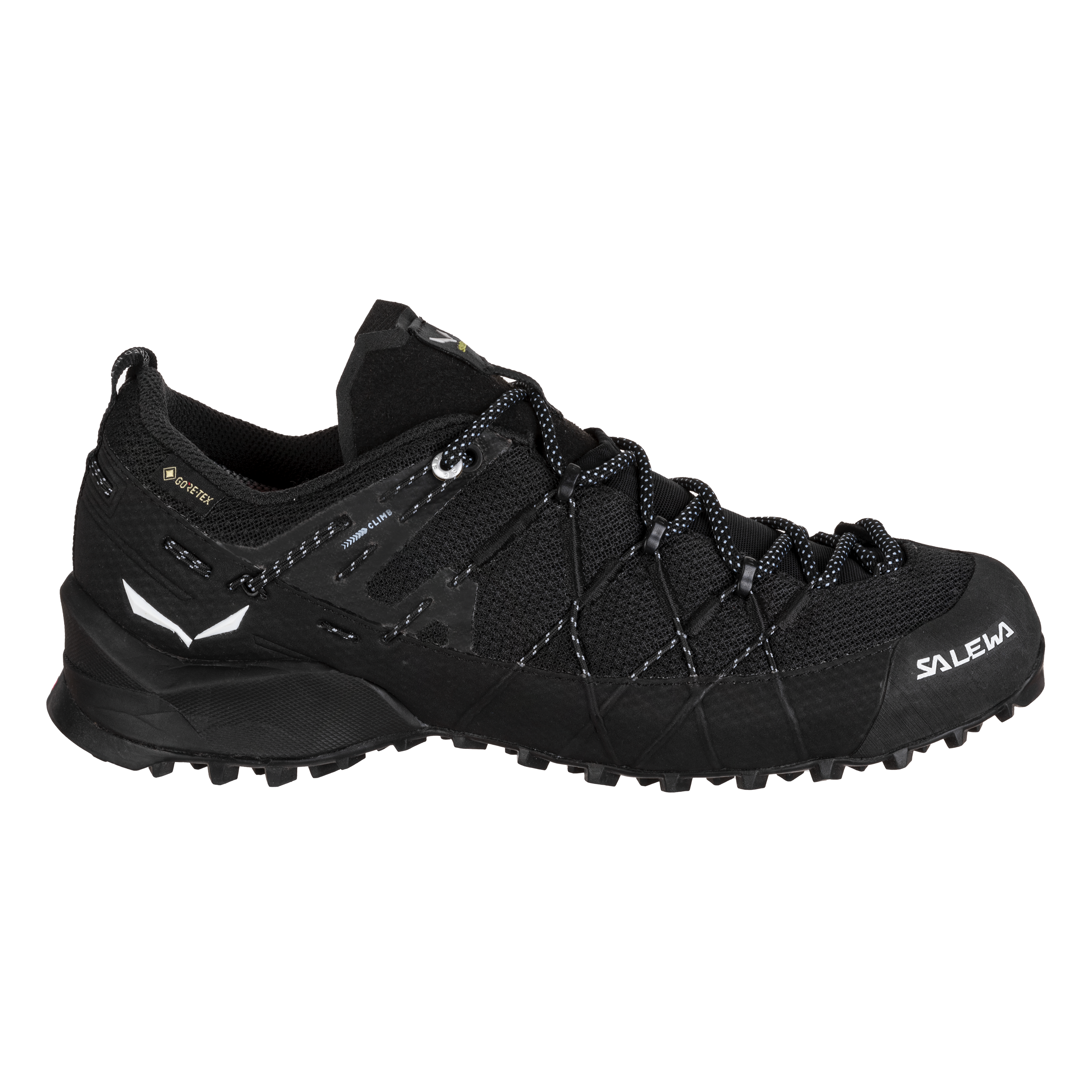 Wildfire 2 Gore-Tex® Schuh Damen