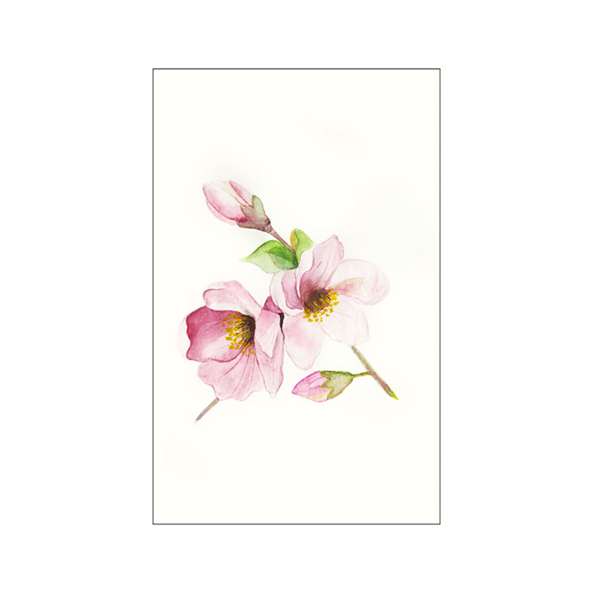 Wandbild MAGNOLIA BREATHE - 50x70 cm