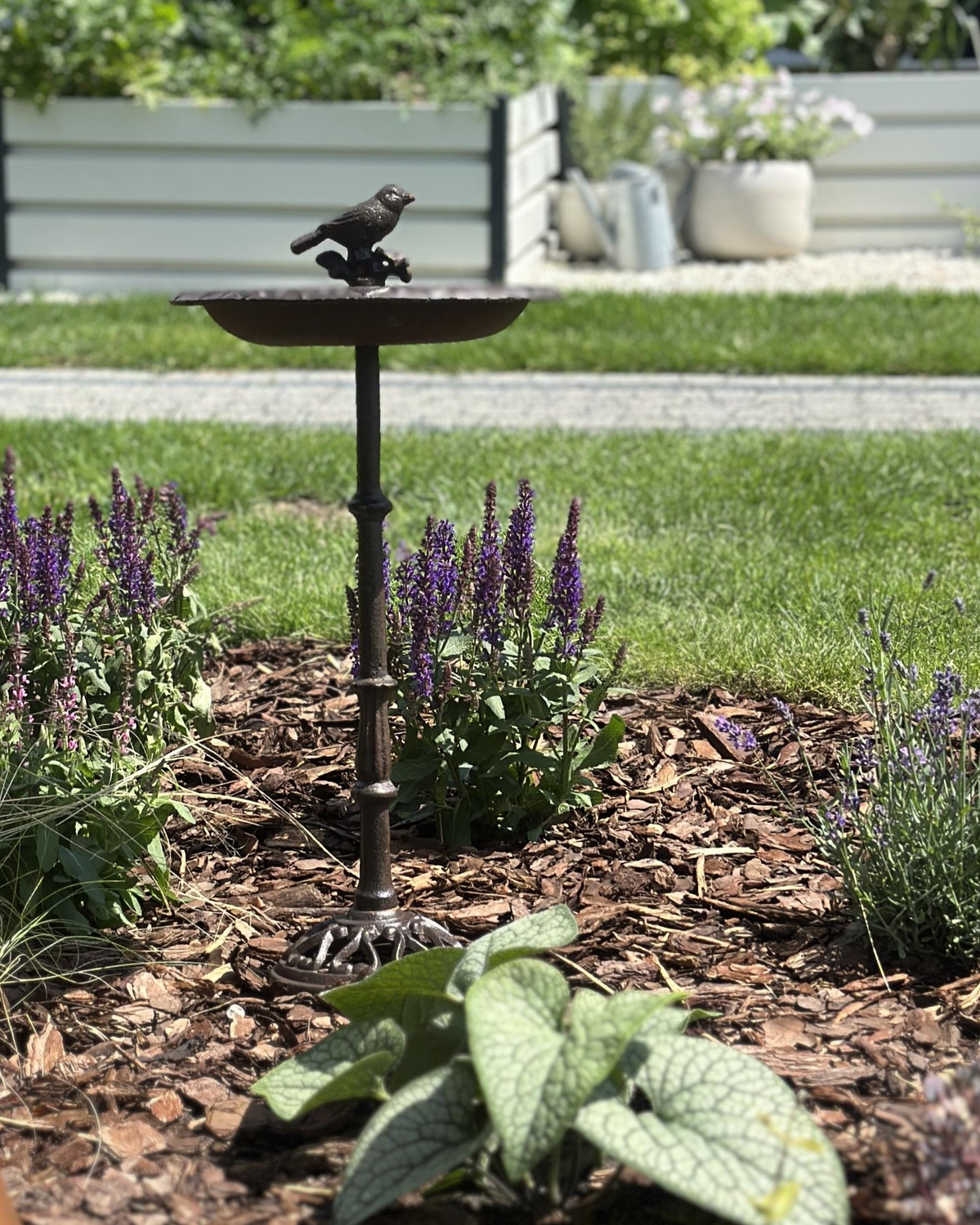 Vogelbad SWALLOW Bruin