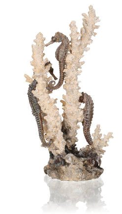 BiOrb Zeepaardjes Naturel - M ornament