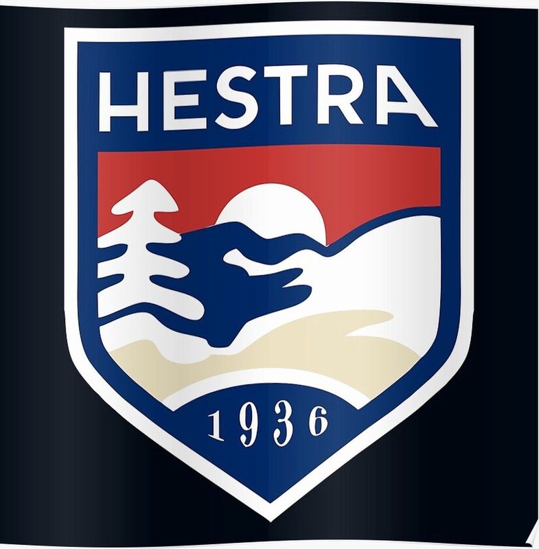 Hestra Wakayama 5 finger 3000660 860710 10 10