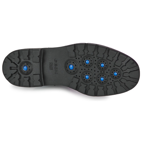 Geox - U SPHERICA EC7 - Noir
