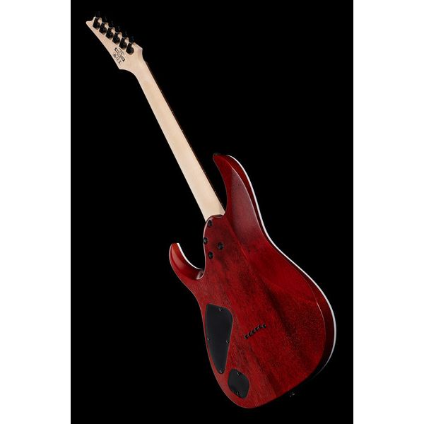 Ibanez RGA42FM-TGF