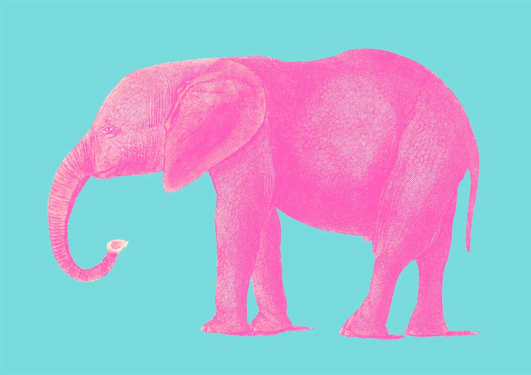 Rosa Elefant Tier