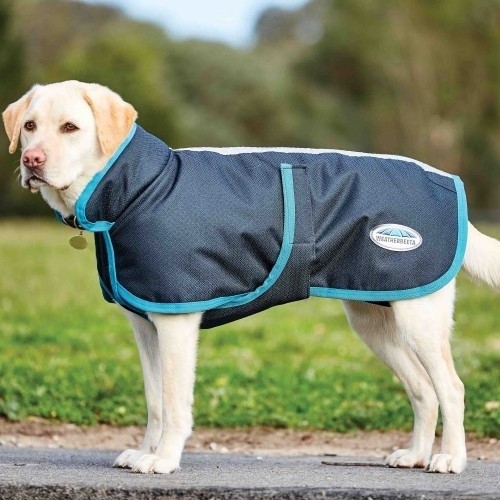 Casaco parka para cães Weatherbeeta, preto/turquesa