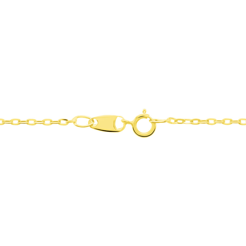 Chaîne Or Jaune Forçat
