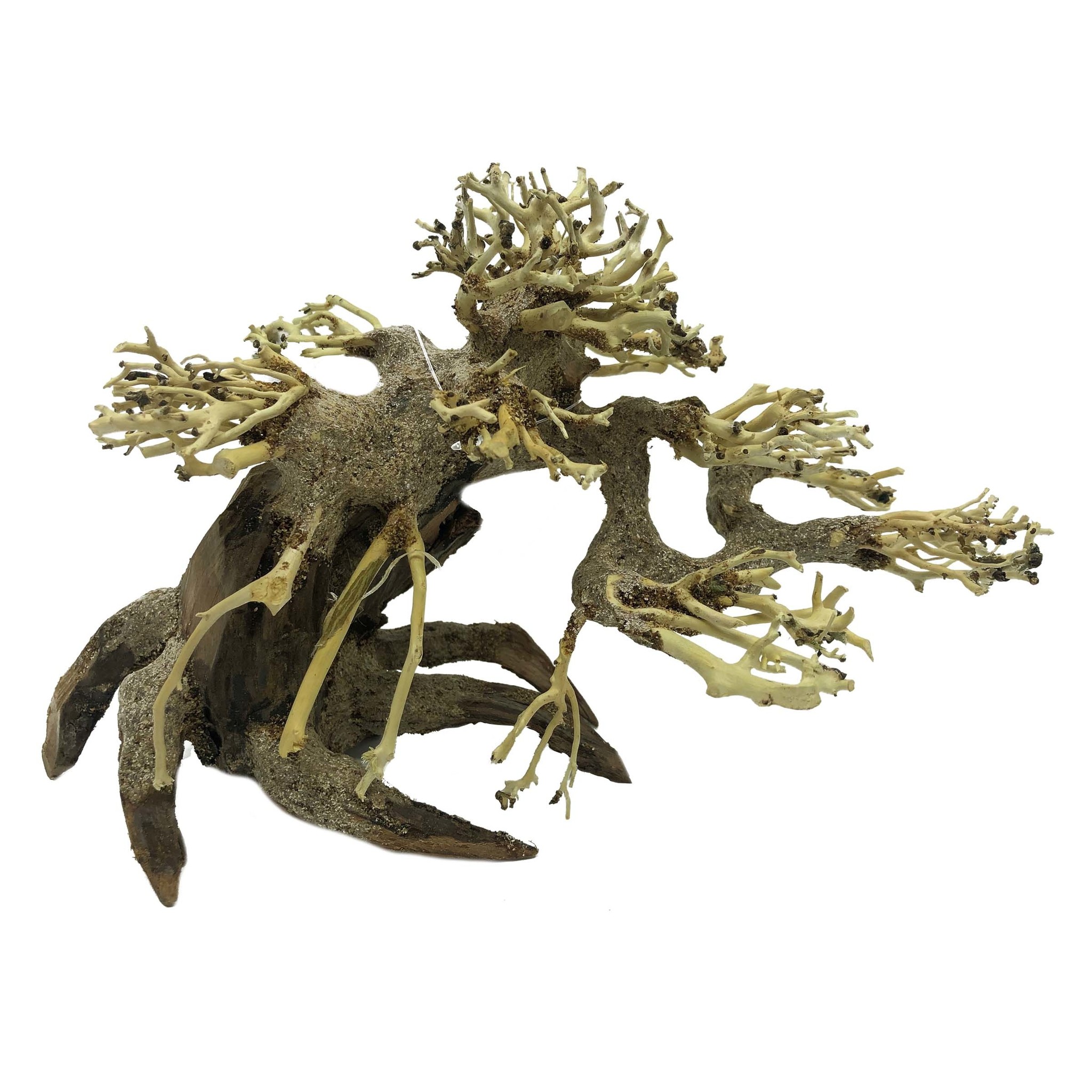Superfish Bonsai Driftwood S | Handgemaakte miniatuurbomen