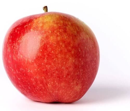Bio Apfel Wellant, 1 Stk.