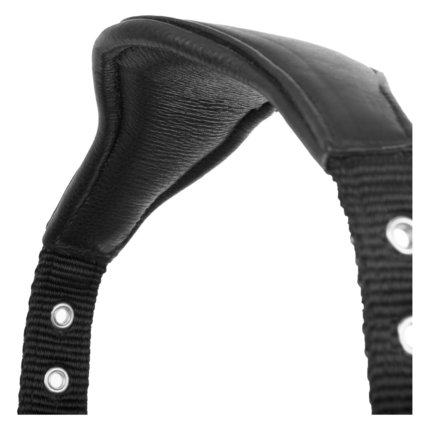 LeMieux Core Lederhalfter Capella  - black - Warmblut