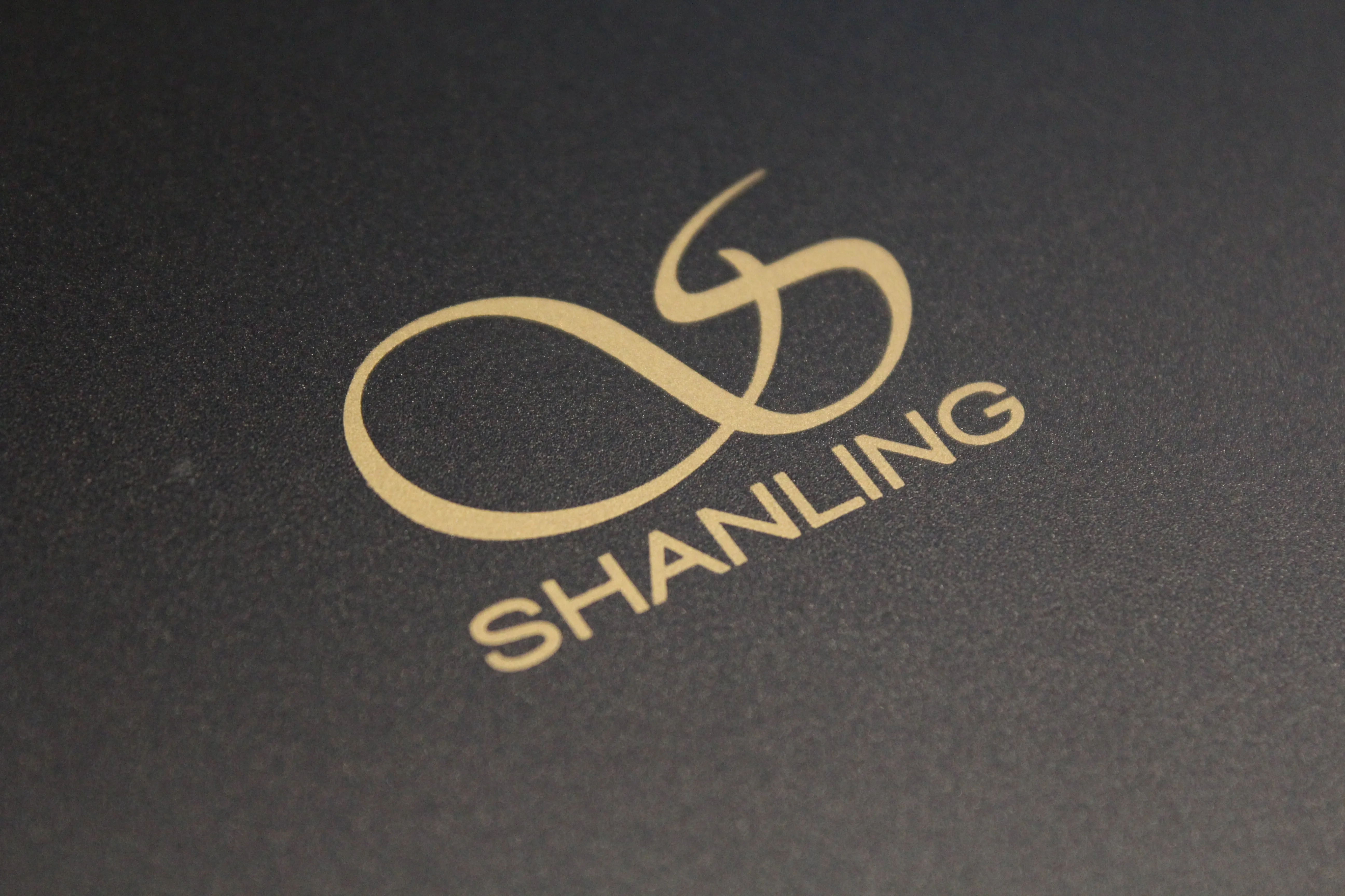 Shanling CA 80 Noir Amplis hi-fi stéréo