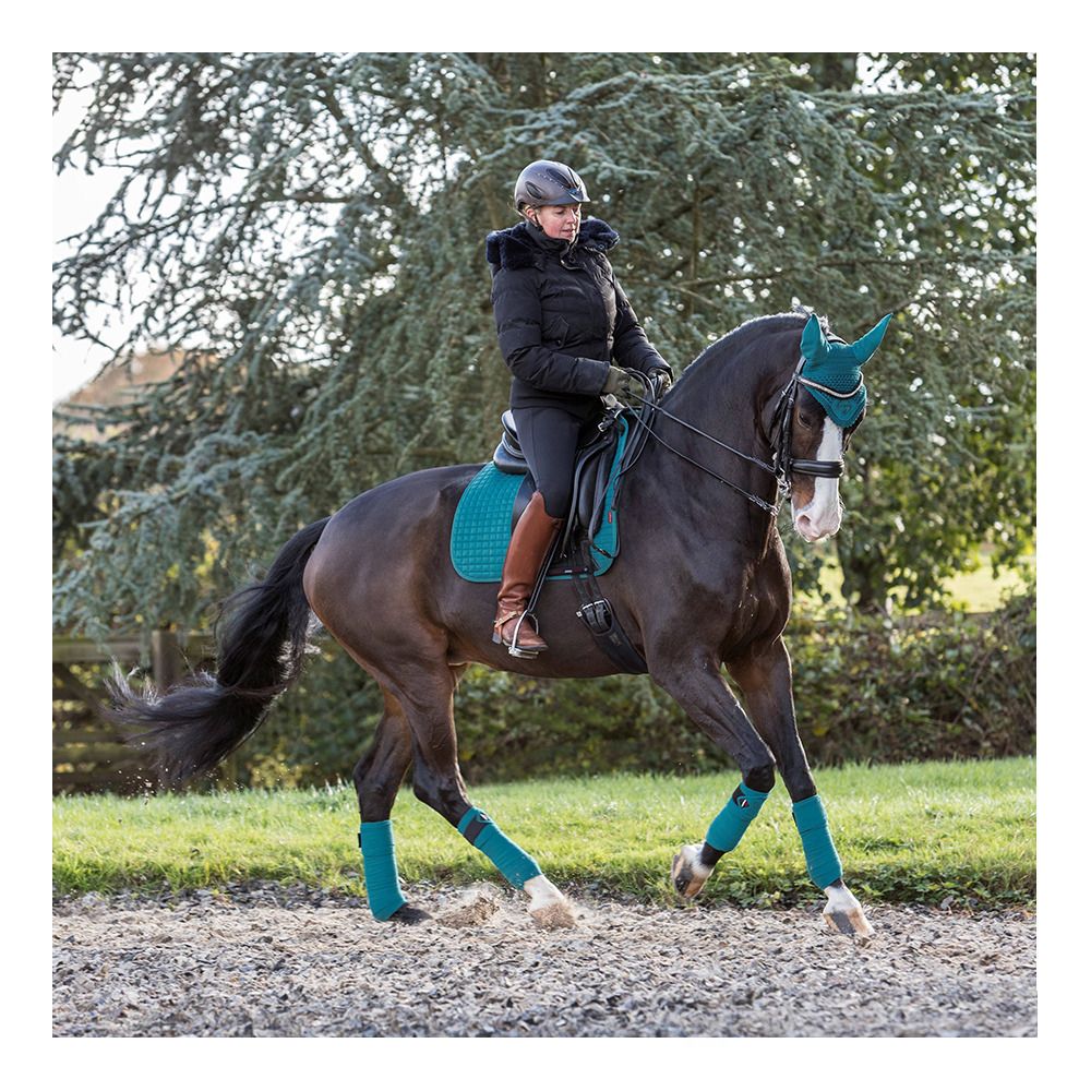 Le Mieux CLASSIC - Bandes de polo x4 peacock