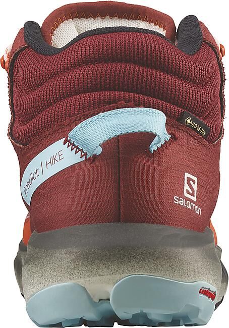 SALOMON - CHAUSSURES DE MULTIACTIVITE PREDICT HIKE MID GTX
