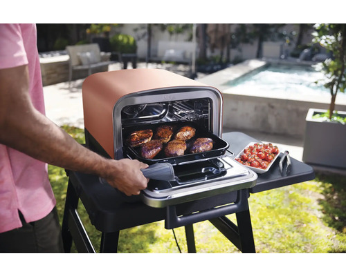 Ninja Woodfire 8-in-1 elektrische grill pizza, stomer/rijst/pastakoker 2,4 kW