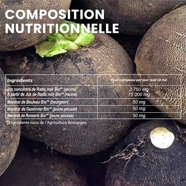 Santarome Rabanete Preto Orgânico 20 ampolas