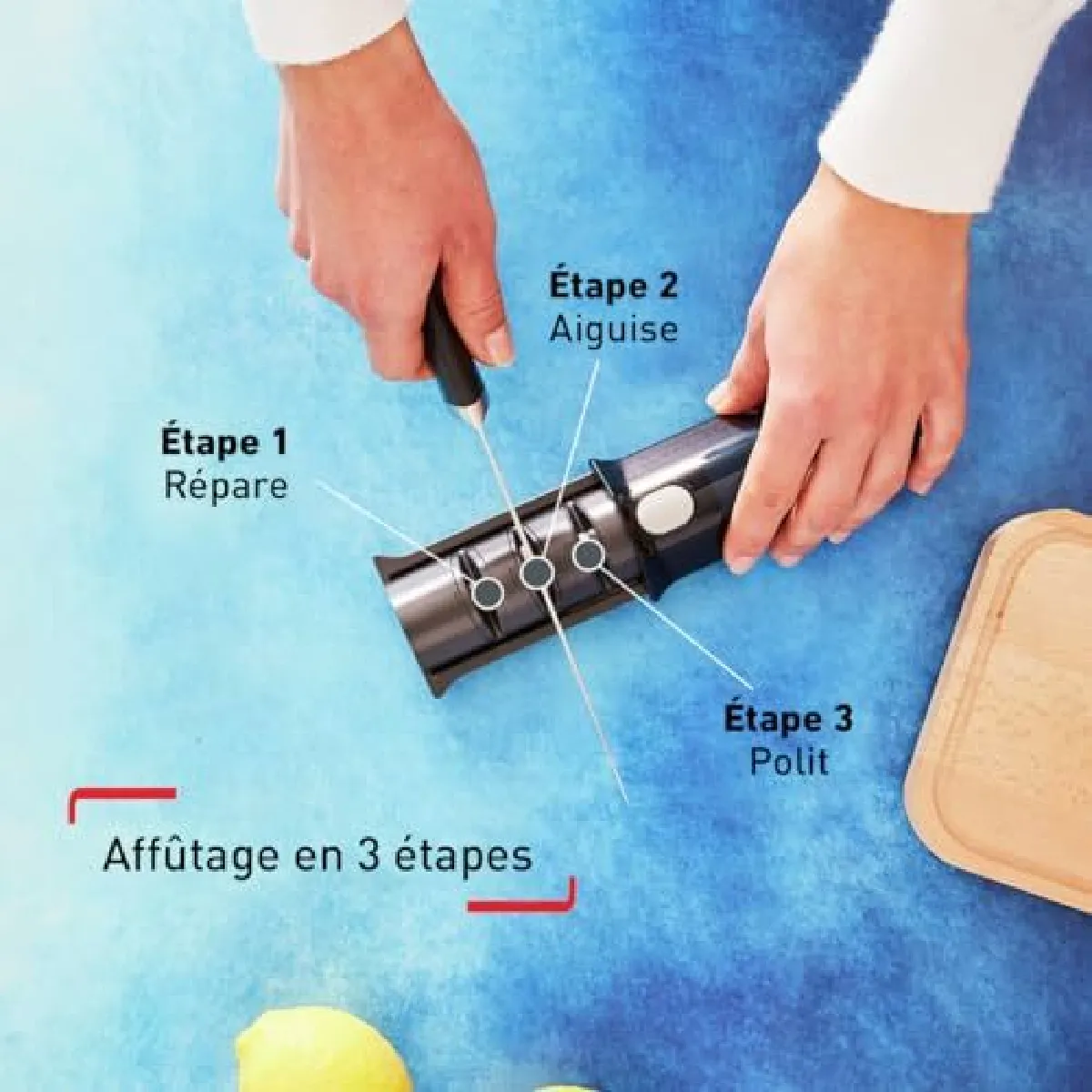 Tefal Aiguiseur Ice Force