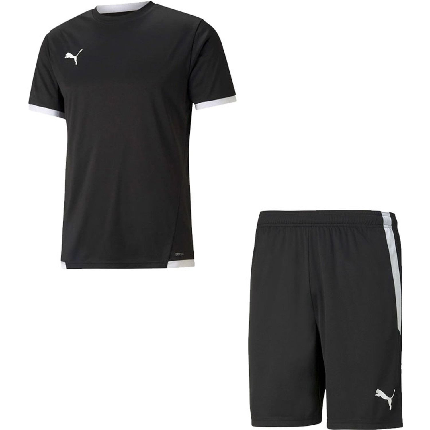 Puma LIGA Trainingsset
