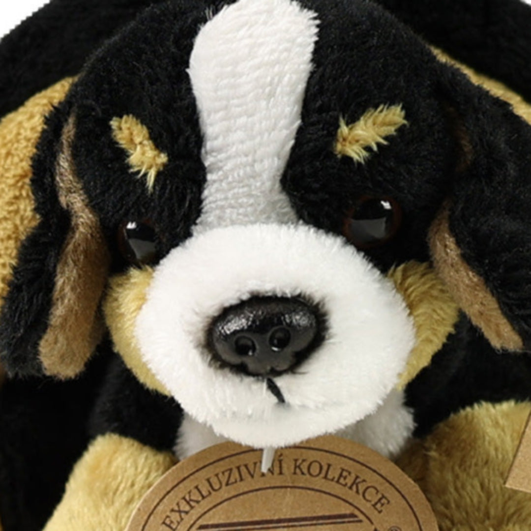 rappa knuffelhond berner met krat - 15 cm