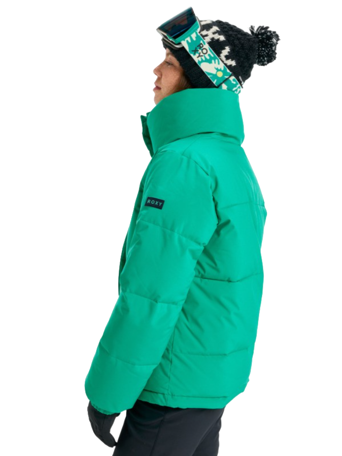 Snow Winter Rebel Skijas