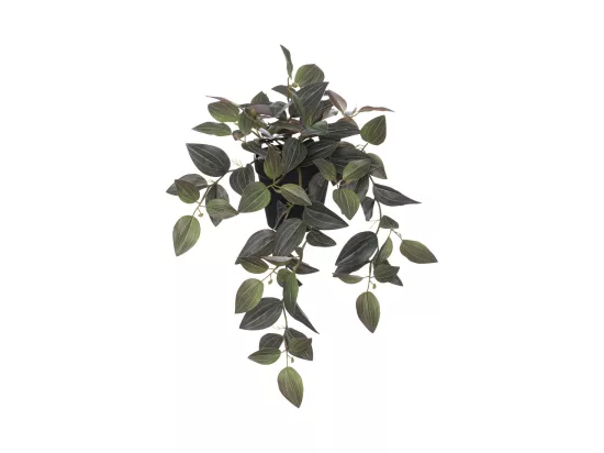 Plante artificielle Tradescantia bicolore H 45 cm