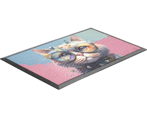 Lima kattenrubbermat 45x75 cm