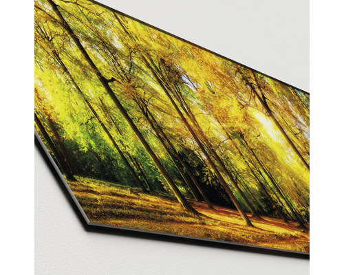 Glasschilderij Zonneschijn in het Bos III 30x80 cm