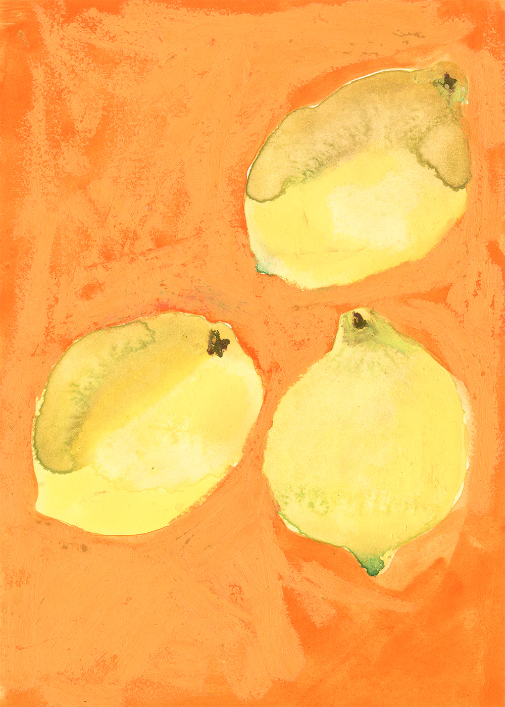 Poster Lemons 30 x 40 cm