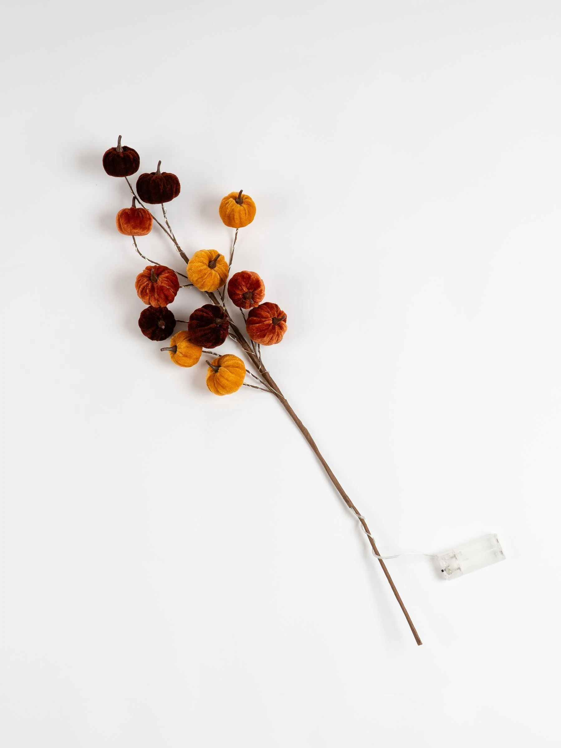 Scottish Everlastings Ltd Set of 2 Velvet Pumpkin Pre lit Stems