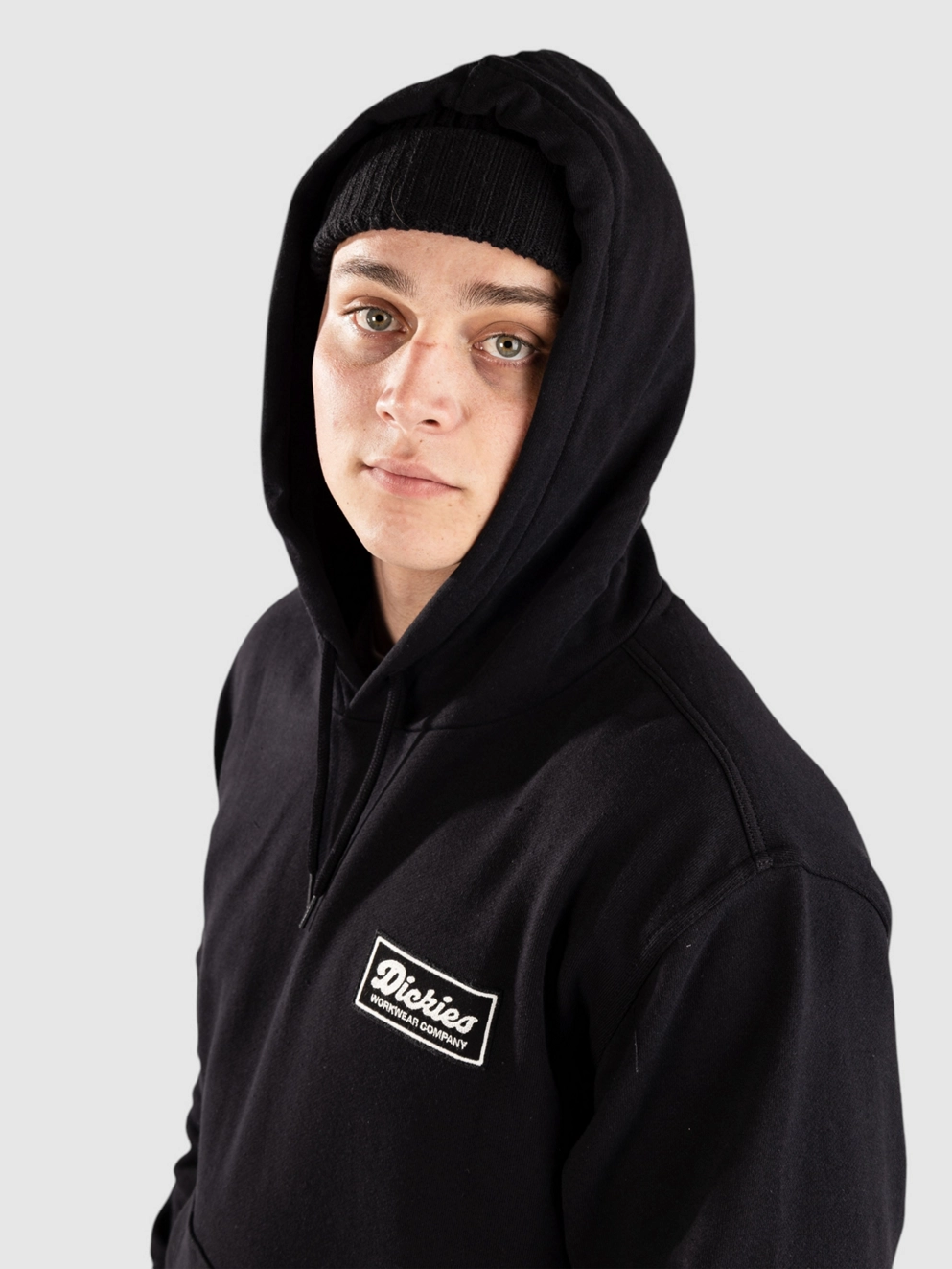 Dickies Lewistown Hoodie black