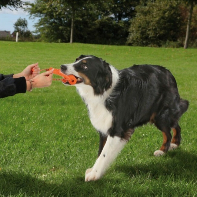 Jouet de motivation Long Mot Trixie pour chien