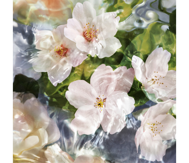 Guerlain Aqua Allegoria Flora Cherrysia Eau de Toilette
