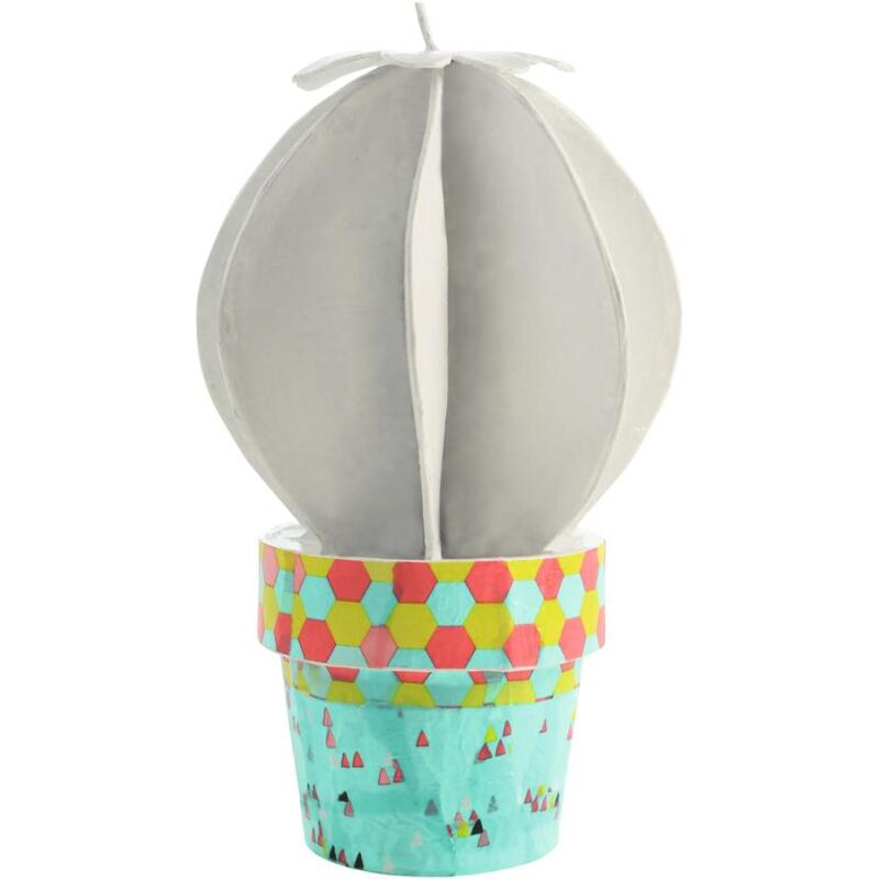 * Cactus boule - Kraft