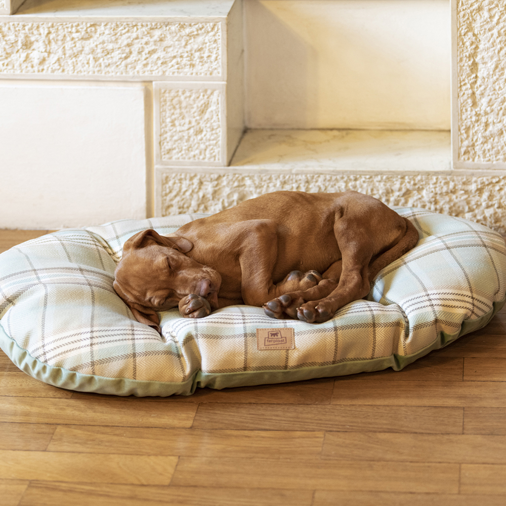 Coussin rembourré pour chiens et chats scott 65/6, double-face, écossais, velours doux, lavable, bleu