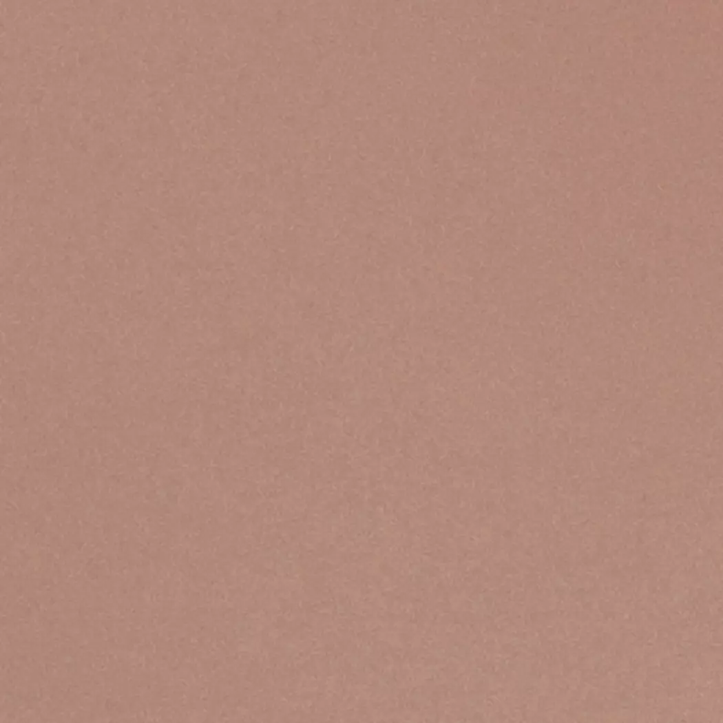 Speiseteller Basic Ø 26,8 cm
