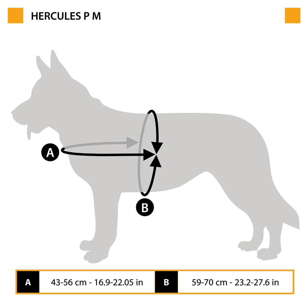 Harnais pour chiens hercules medium, rembourré, résistant, anti-griffures, visible dans l'obscurité, avec poignée