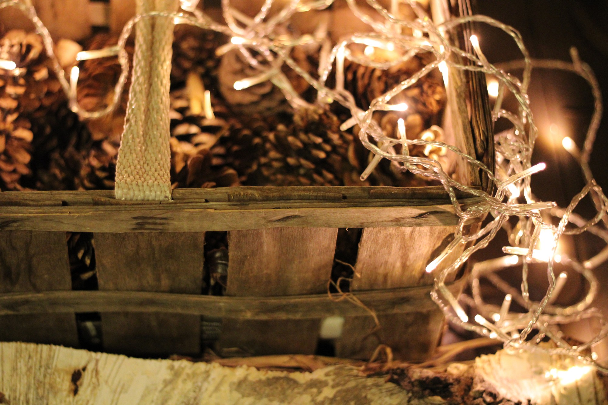 Lichterschnur 'Bernadette', 160 LED, 1192 cm von fischer's lagerhaus