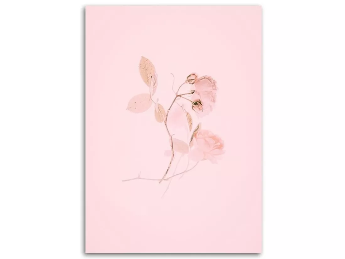Tableau graphiques avec une plante rose - 20 x 30 cm